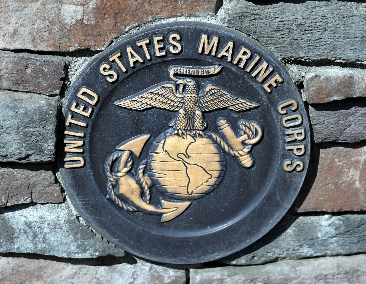Mesothelioma – Marine Veterans